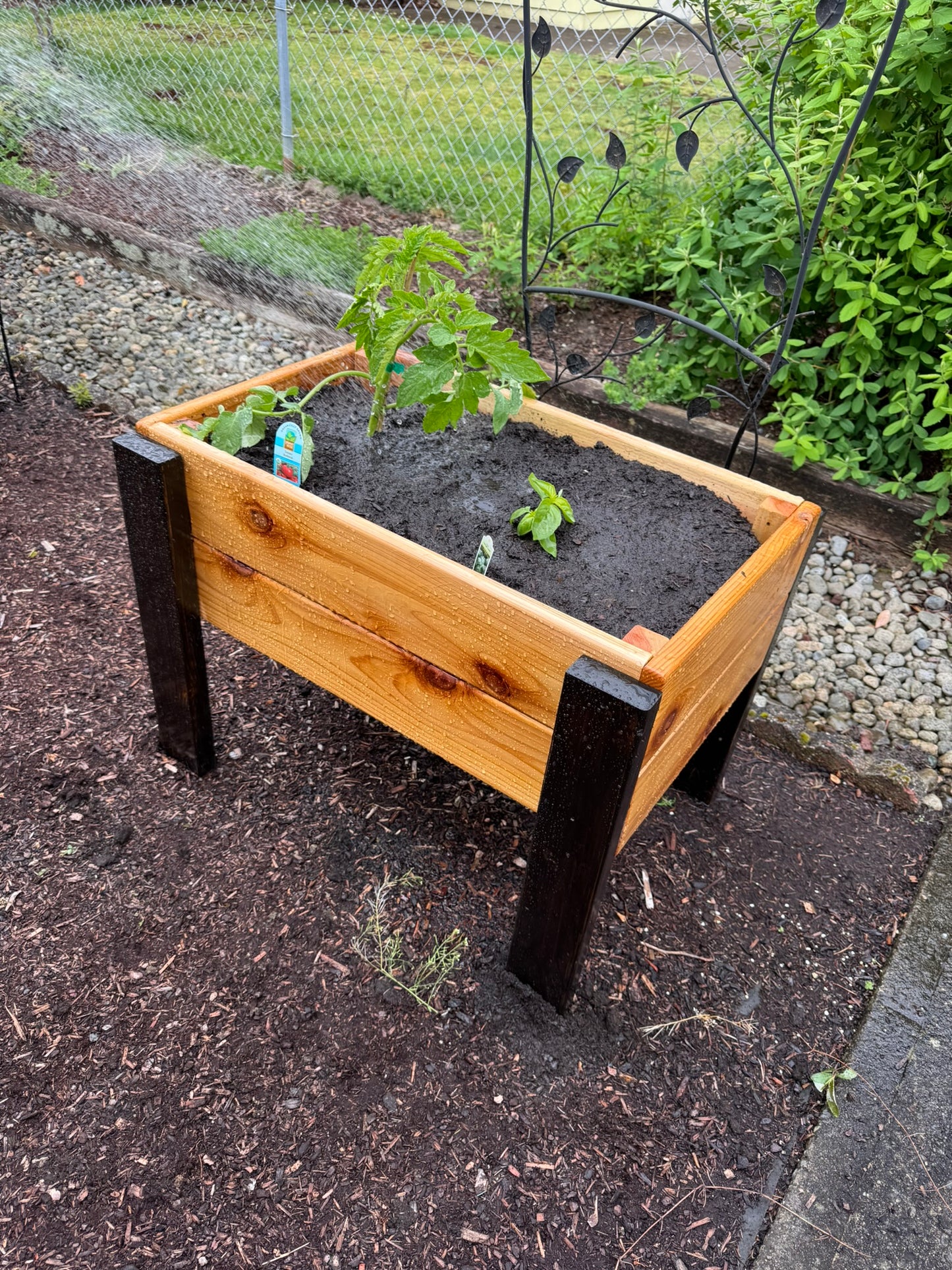 Cedar Planter Box